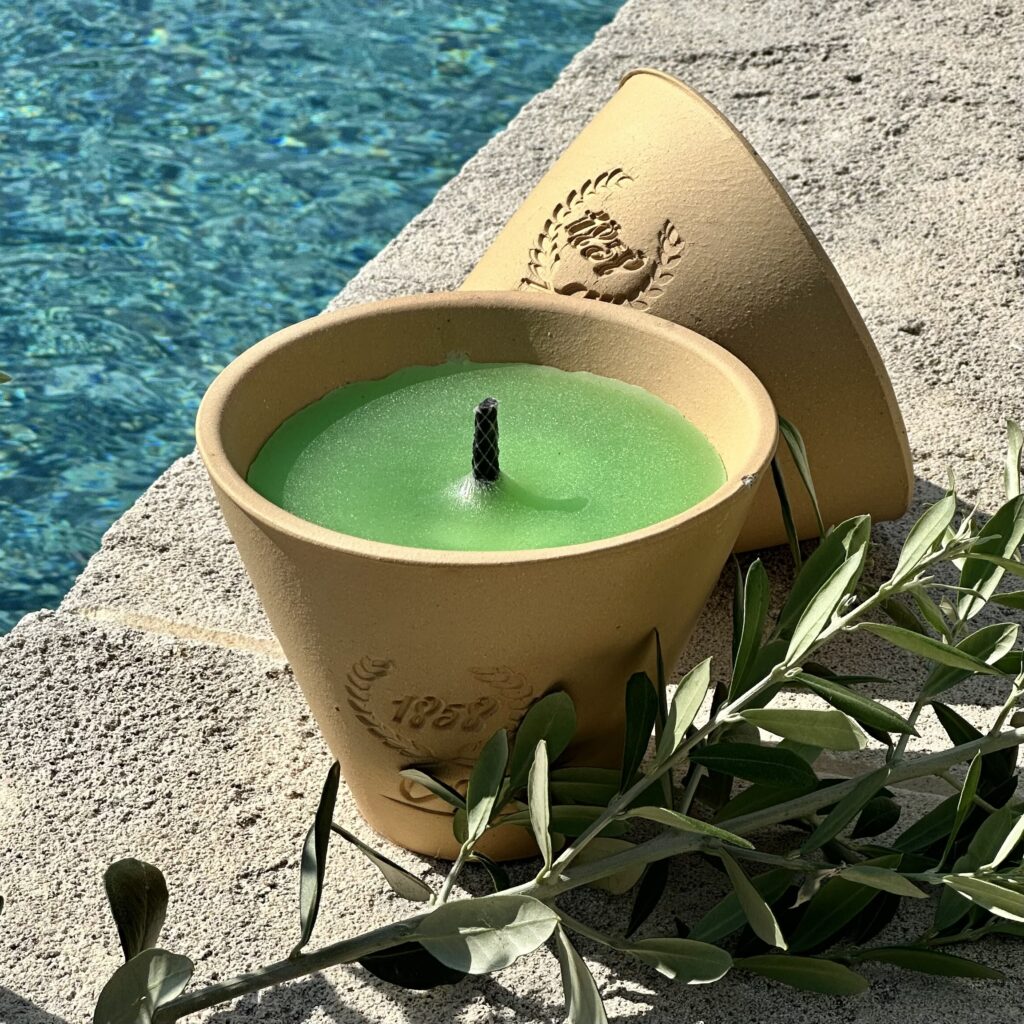 Pot des Landes "Menthe" à la citronnelle