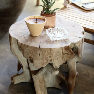Table basse Bamba, racine de teck